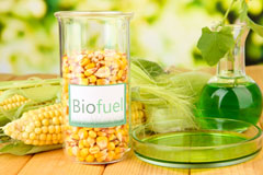 Pointon biofuel availability